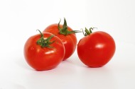 营养美味的番茄图片_14张