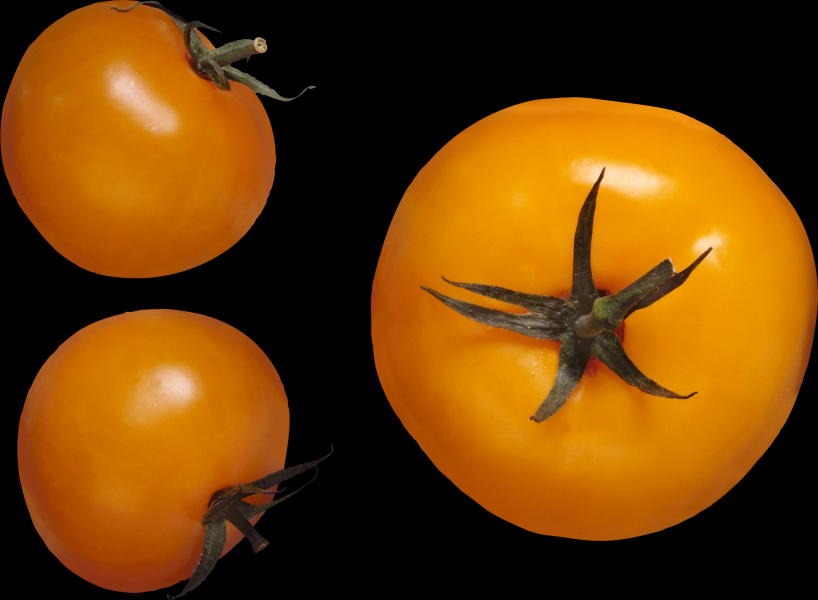 点击大图看下一张：番茄透明背景PNG图片