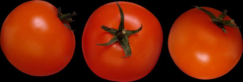 点击大图看下一张：番茄透明背景PNG图片