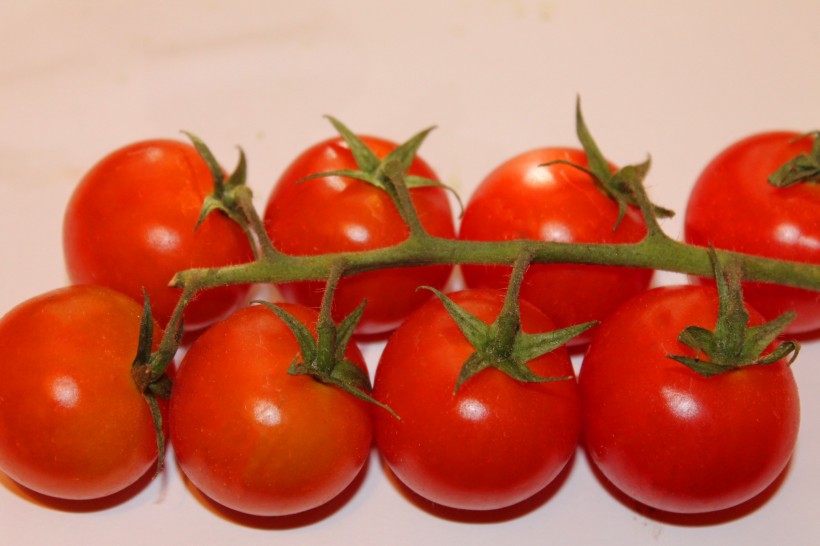 点击大图看下一张：营养美味的番茄图片