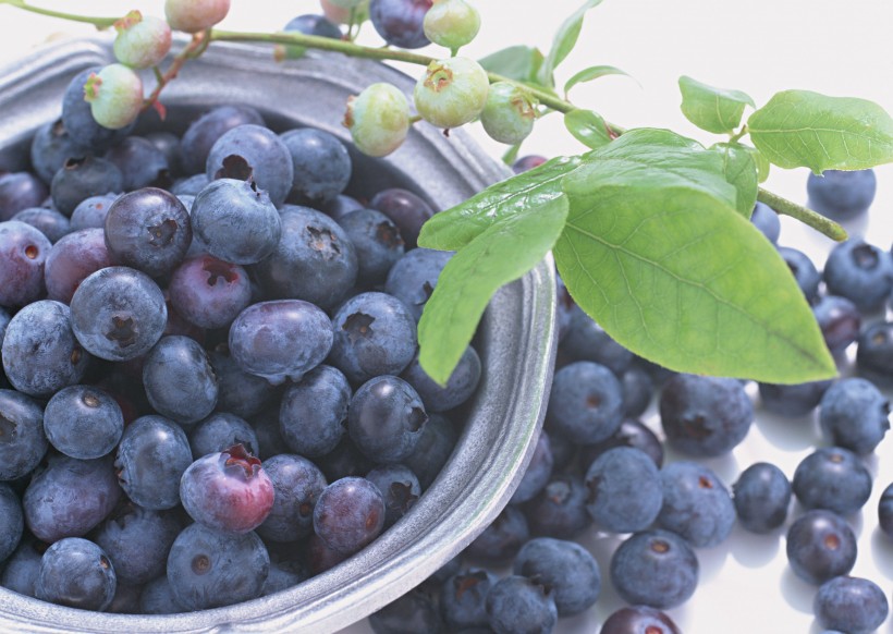 点击大图看下一张：丰收蓝莓图片