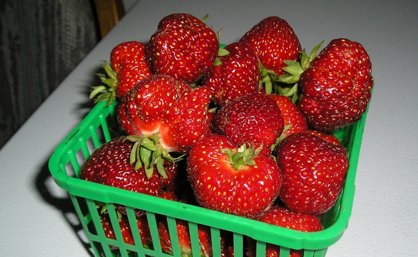 点击大图看下一张：鲜红的草莓图片