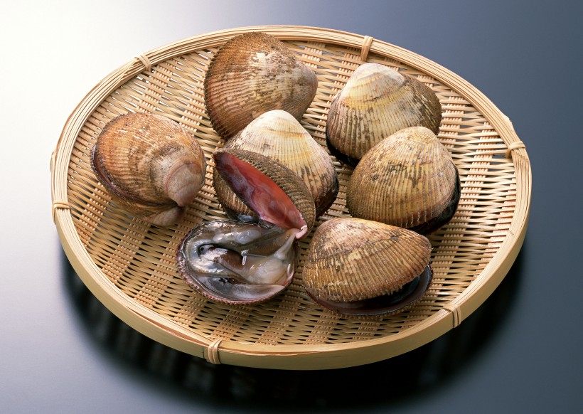 点击大图看下一张：贝壳,扇贝,螺类海鲜食材图片
