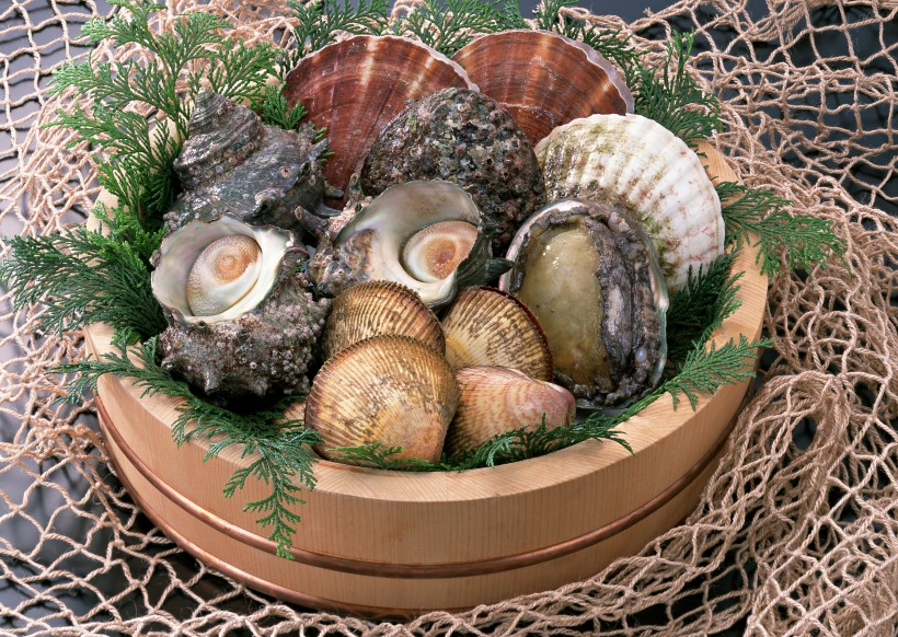 点击大图看下一张：扇贝,贝壳,螺类海鲜食材图片