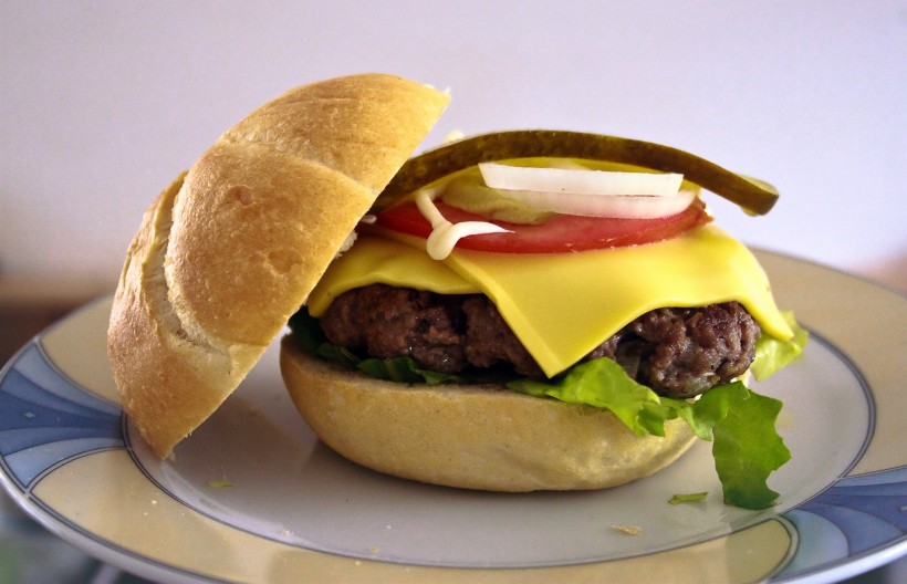 点击大图看下一张：美味的汉堡包图片