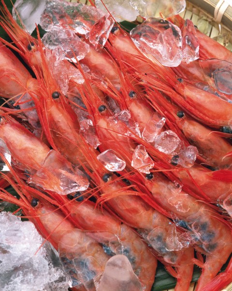 点击大图看下一张：鲜美的河虾图片