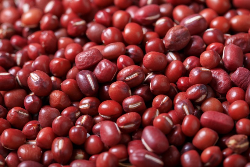 点击大图看下一张：营养丰富的红豆图片