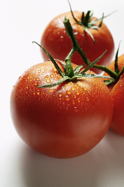 点击大图看下一张：红红的西红柿图片