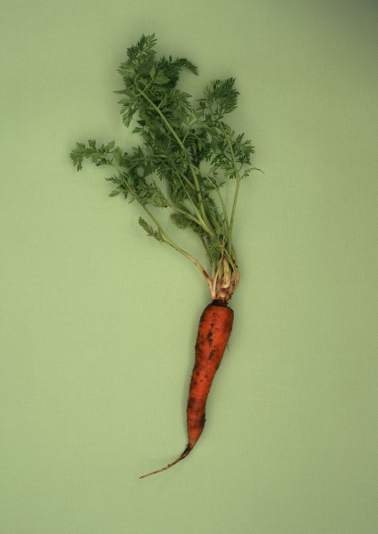 点击大图看下一张：营养丰富的胡萝卜图片