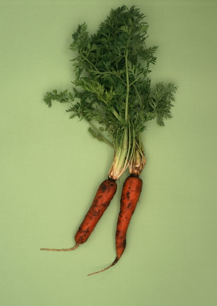 点击大图看下一张：营养丰富的胡萝卜图片