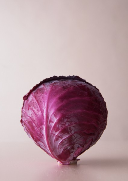 点击大图看下一张：卷心菜图片、甘蓝图片