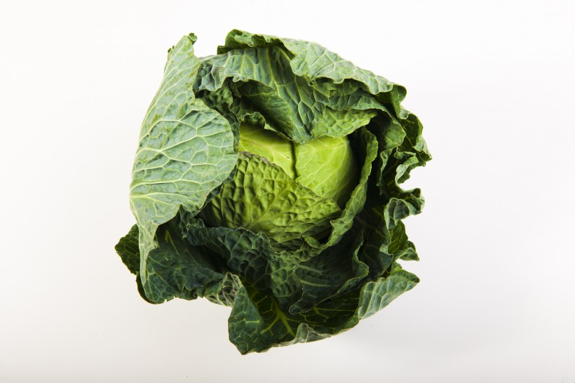 点击大图看下一张：绿色健康的圆白菜图片