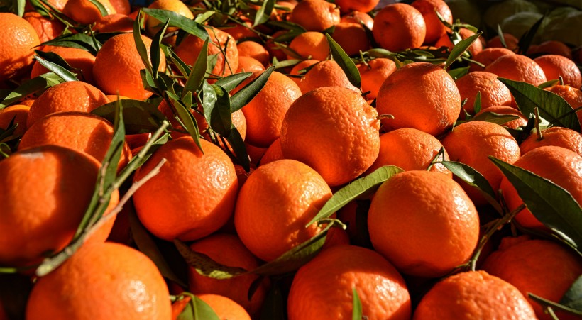 点击大图看下一张：新鲜的橘子图片