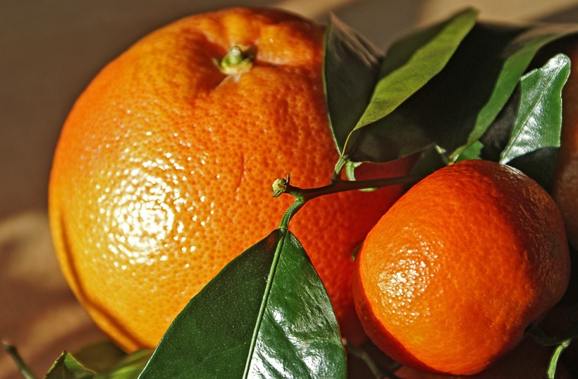 点击大图看下一张：新鲜美味的橘子图片