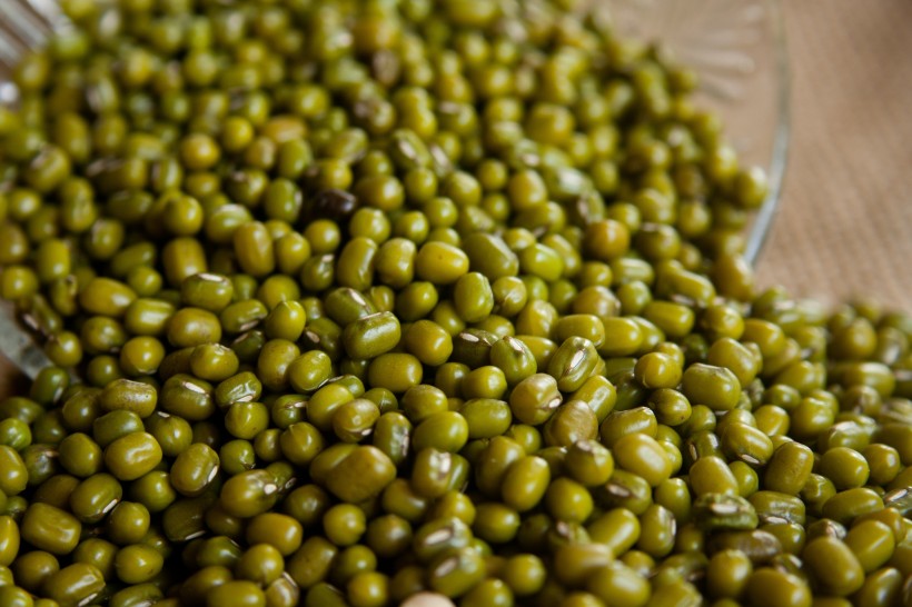 点击大图看下一张：清凉解暑的绿豆图片