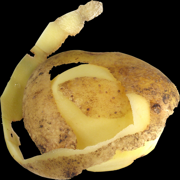 点击大图看下一张：马铃薯透明背景PNG图片