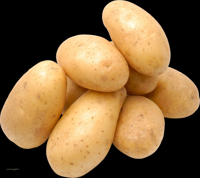 点击大图看下一张：马铃薯透明背景PNG图片