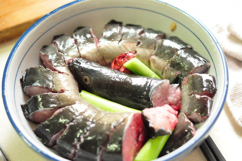 点击大图看下一张：鳗鱼乌贼章鱼图片