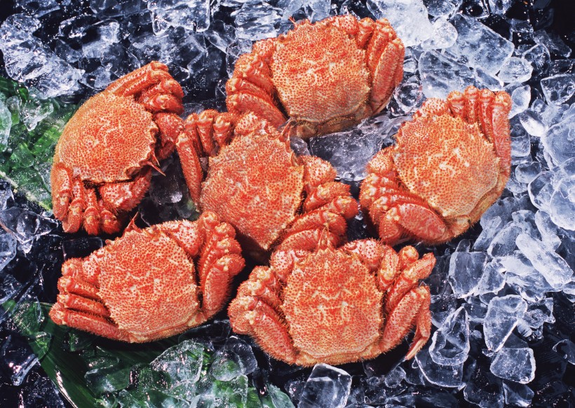 点击大图看下一张：鲜味十足的毛蟹图片