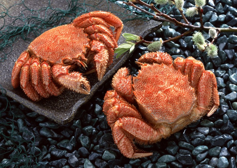 点击大图看下一张：鲜味十足的毛蟹图片