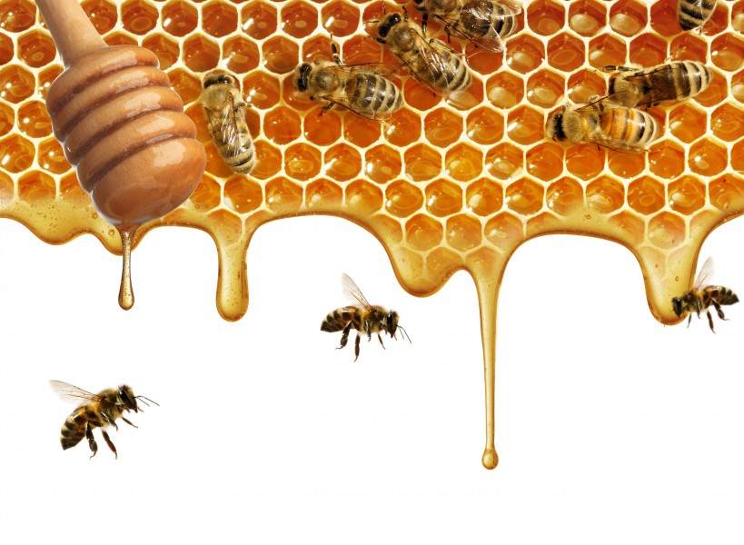 点击大图看下一张：美味的蜂蜜图片