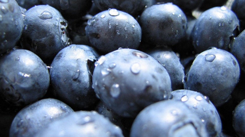 点击大图看下一张：美味的蓝莓图片