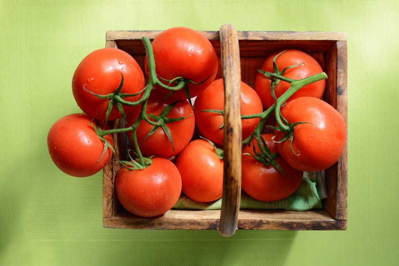 点击大图看下一张：美味的西红柿图片