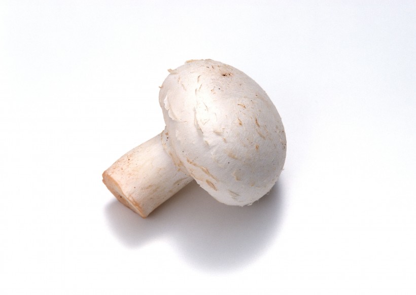 点击大图看下一张：蘑菇香菇菌类蔬菜图片