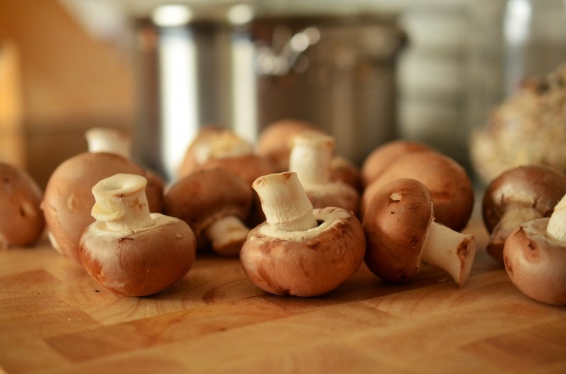 点击大图看下一张：可食用蘑菇图片