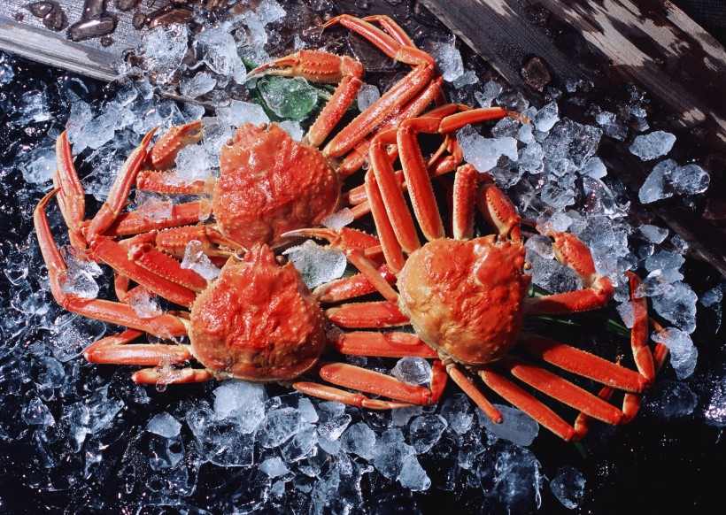 点击大图看下一张：海鲜食材螃蟹的图片