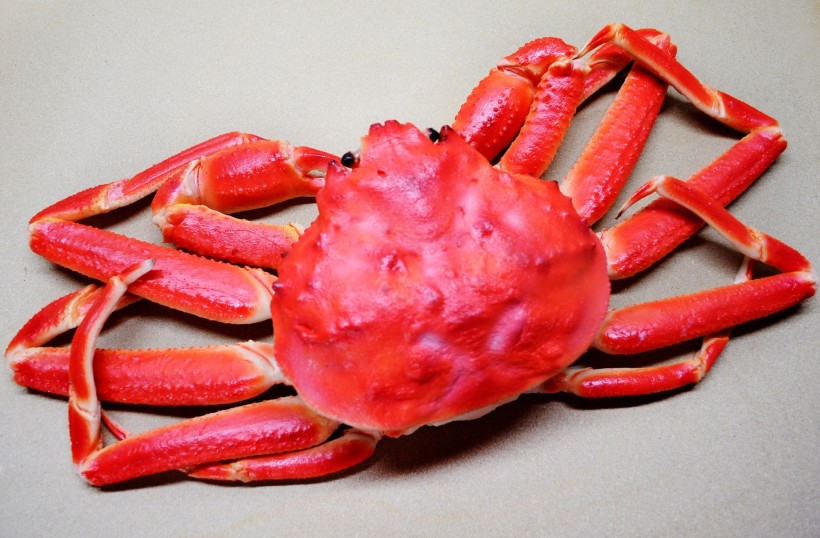 点击大图看下一张：好吃的螃蟹图片