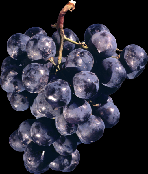 点击大图看下一张：葡萄透明背景PNG图片