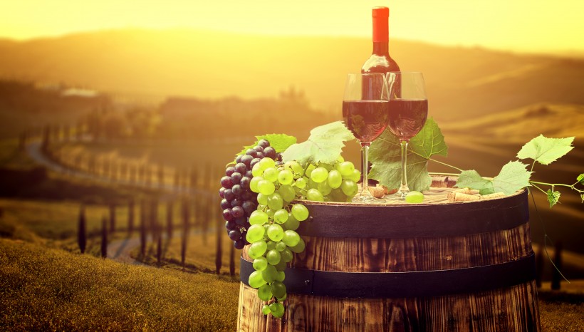 点击大图看下一张：葡萄酒和庄园景色图片