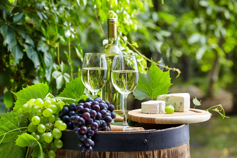 点击大图看下一张：葡萄酒和庄园景色图片