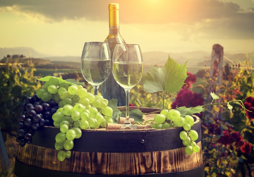 点击大图看下一张：葡萄酒及庄园景色图片