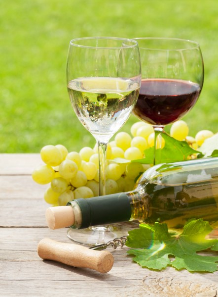 点击大图看下一张：葡萄酒与葡萄图片