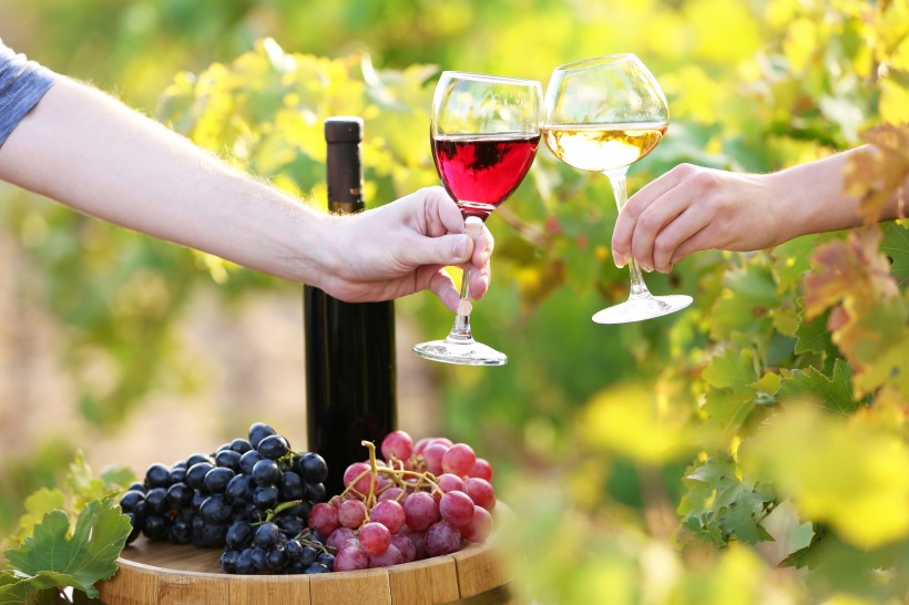 点击大图看下一张：葡萄酒与葡萄图片
