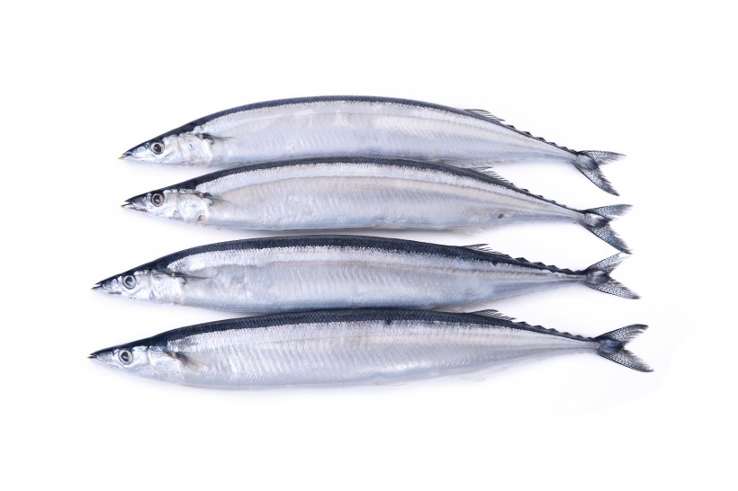点击大图看下一张：银色日式秋刀鱼图片