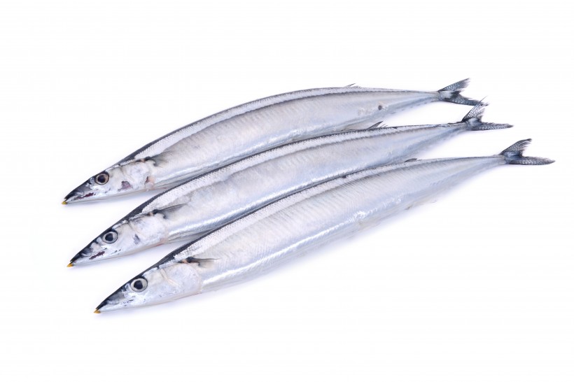 点击大图看下一张：银色日式秋刀鱼图片