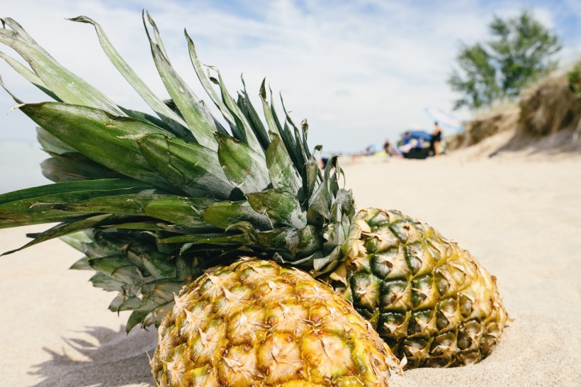 点击大图看下一张：沙滩上的菠萝图片