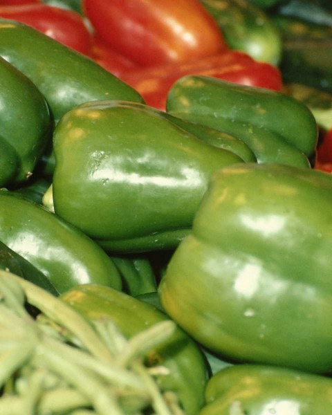 点击大图看下一张：新鲜蔬菜图片