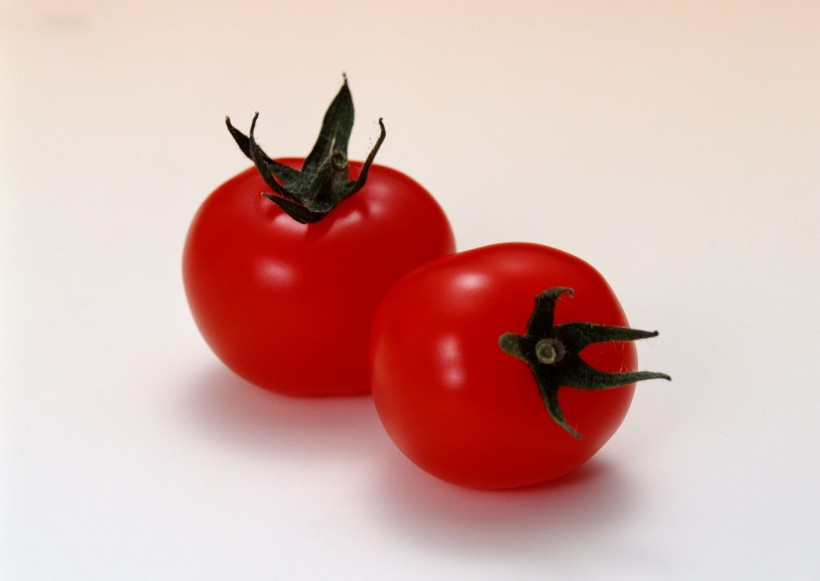 点击大图看下一张：西红柿番茄图片