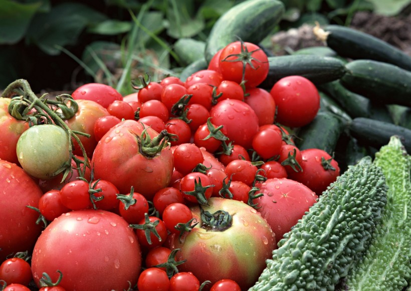 点击大图看下一张：蔬菜丰收图片