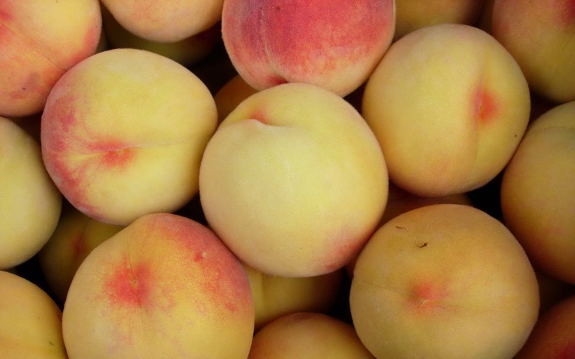 点击大图看下一张：鲜美的桃子图片