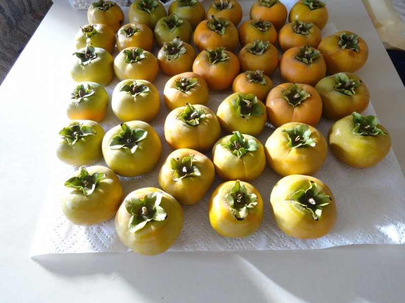 点击大图看下一张：甜甜的柿子图片