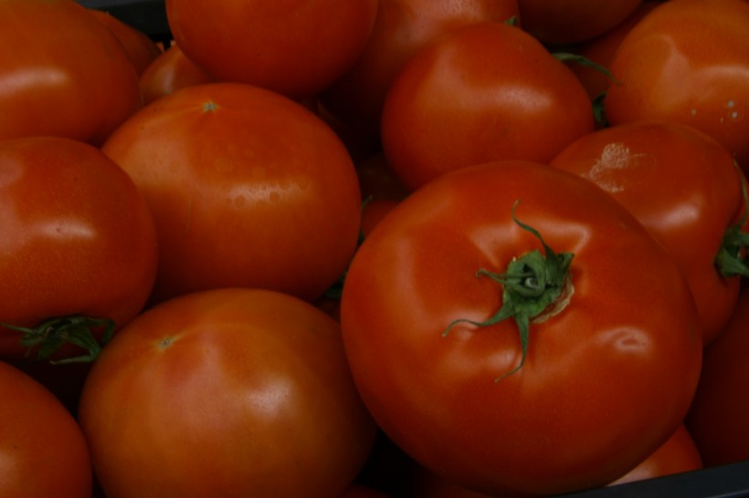 点击大图看下一张：西红柿图片