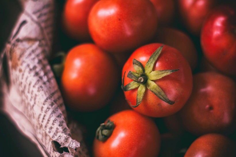 点击大图看下一张：新鲜的西红柿图片