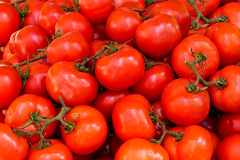 点击大图看下一张：新鲜的西红柿图片