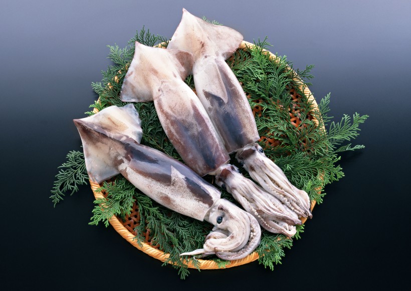 点击大图看下一张：海鲜食材乌贼的图片