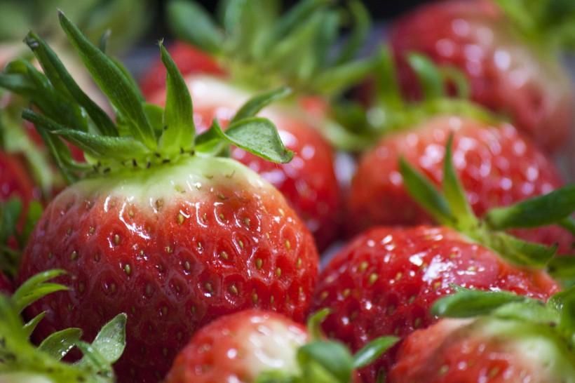 点击大图看下一张：鲜嫩欲滴的草莓图片